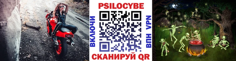 мега ссылки  Алексин  Галлюциногенные грибы Cubensis 
